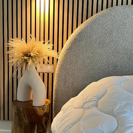 Vanagupes Pusynas & Luxury Apartment *