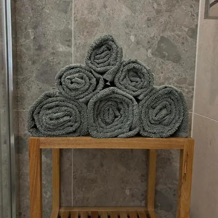 Vanagupes Pusynas & Luxury Apartment Palanga