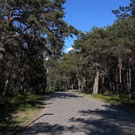 Vanagupes Pusynas & Luxury * Palanga